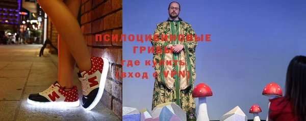 стаф Лагань