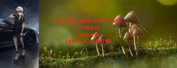 mdpv Лабытнанги