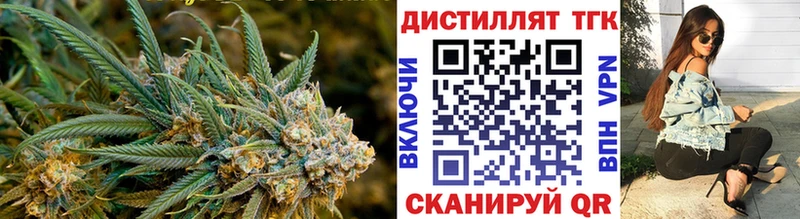 shop как зайти  Северодвинск  Дистиллят ТГК Wax  где можно купить наркотик 