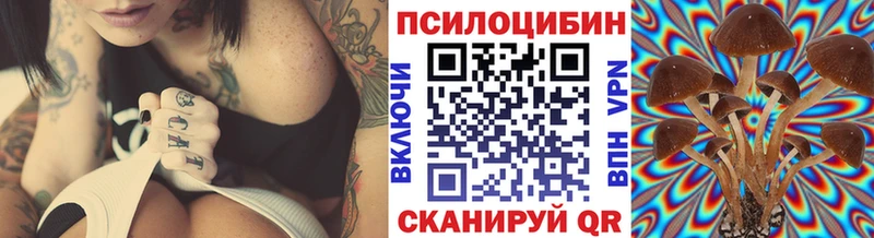 MEGA онион  Северодвинск  Псилоцибиновые грибы Psilocybe  наркота 